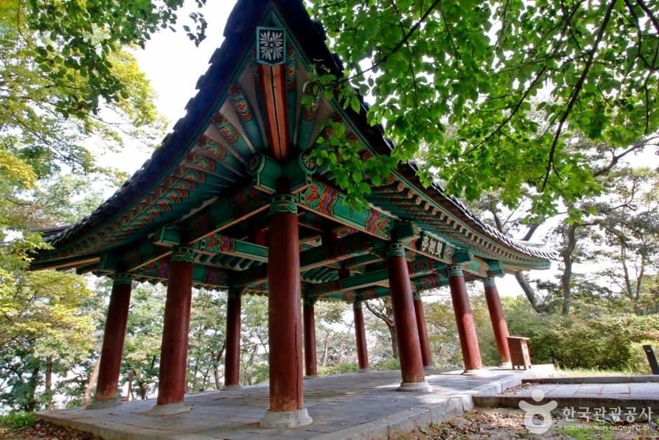 쌍수정